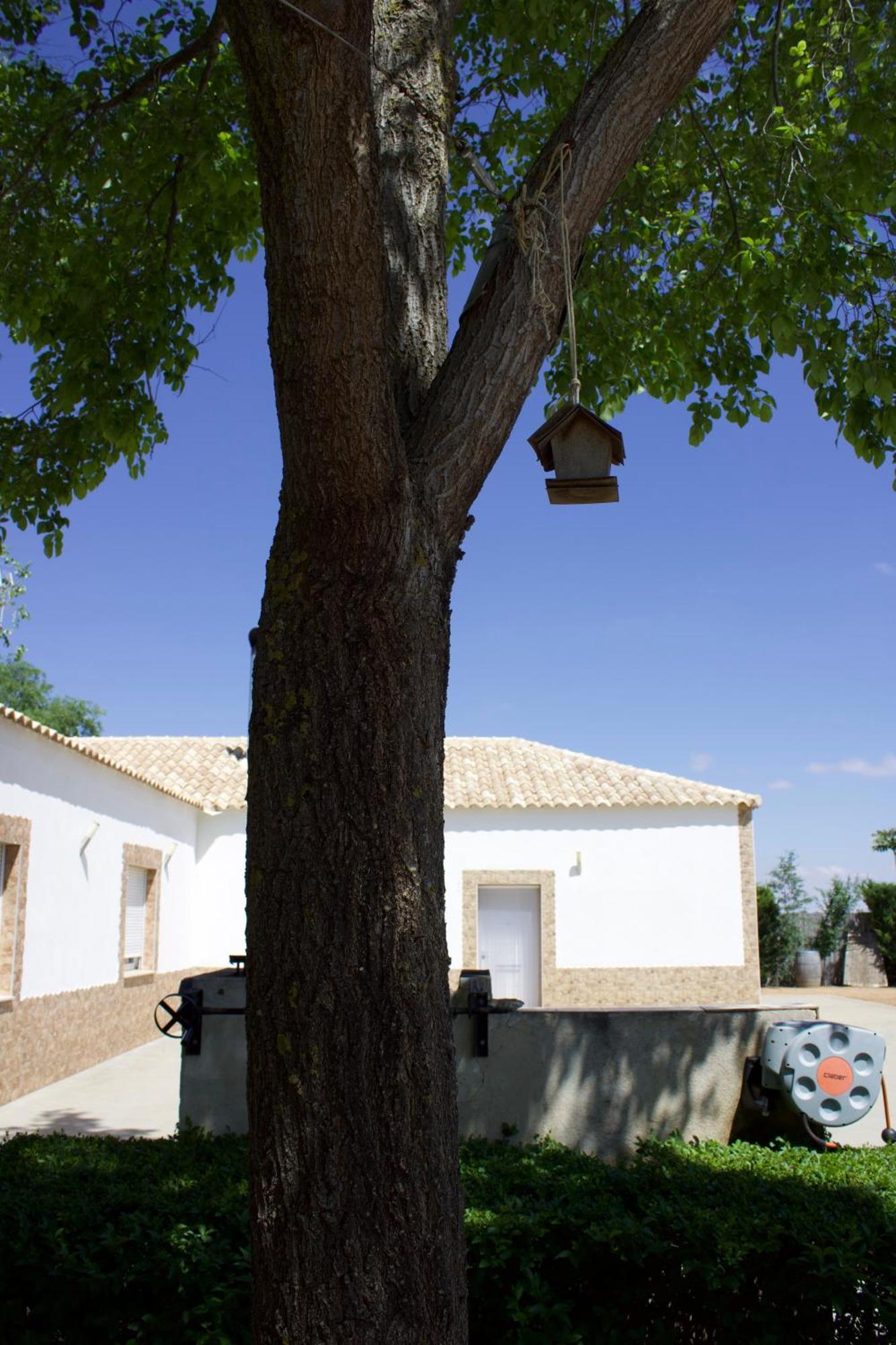 Lujosa casa en la cuna del Quijote Tomelloso Exterior foto